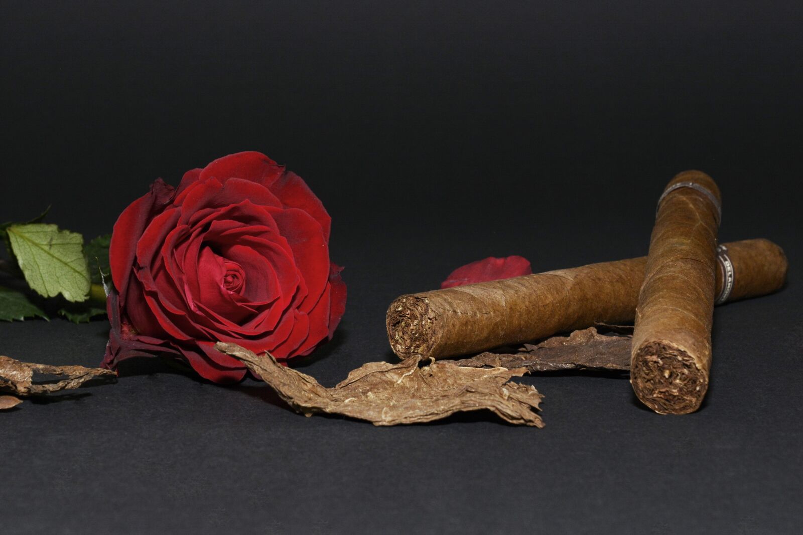 Nikon D7100 sample photo. Rose, red rose, cigar photography