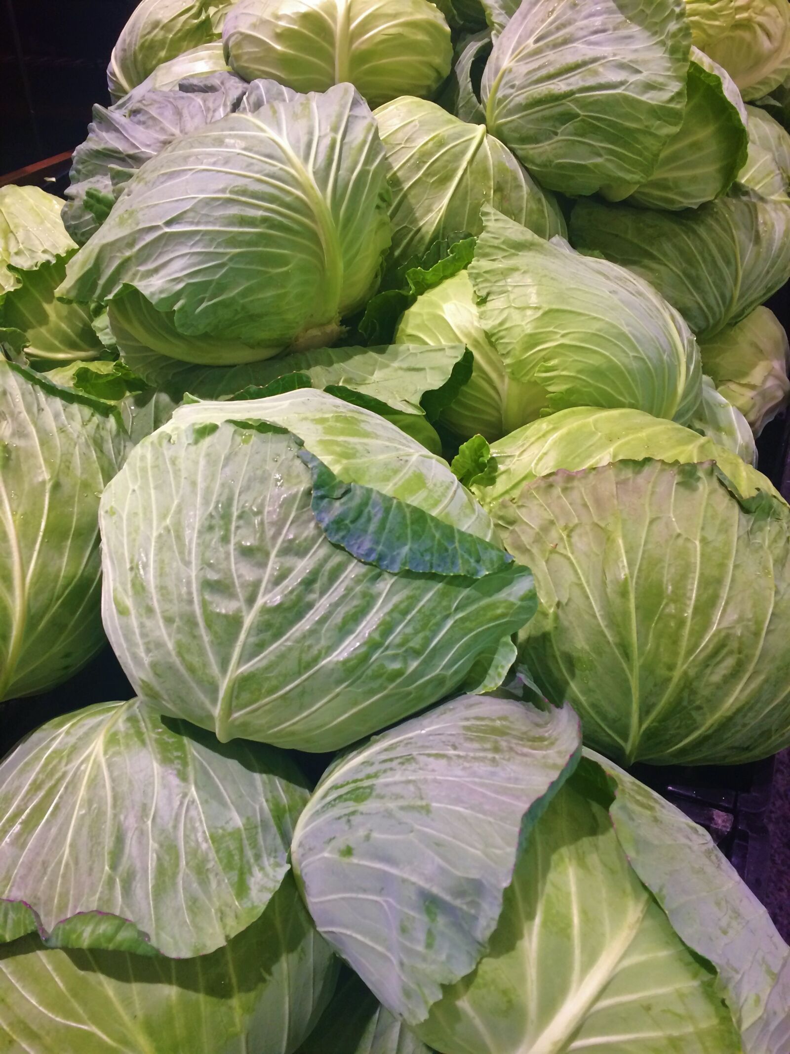 iPhone 5s back camera 4.15mm f/2.2 sample photo. Cabbage, leafy, white photography