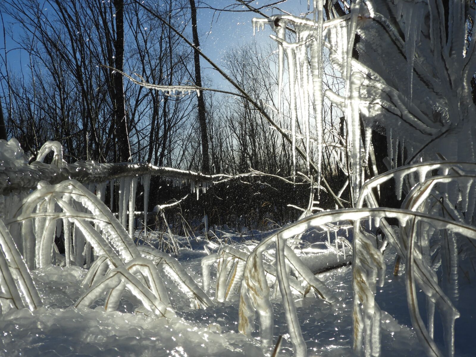Nikon Coolpix B700 sample photo. Kamchatka, winter, snow photography