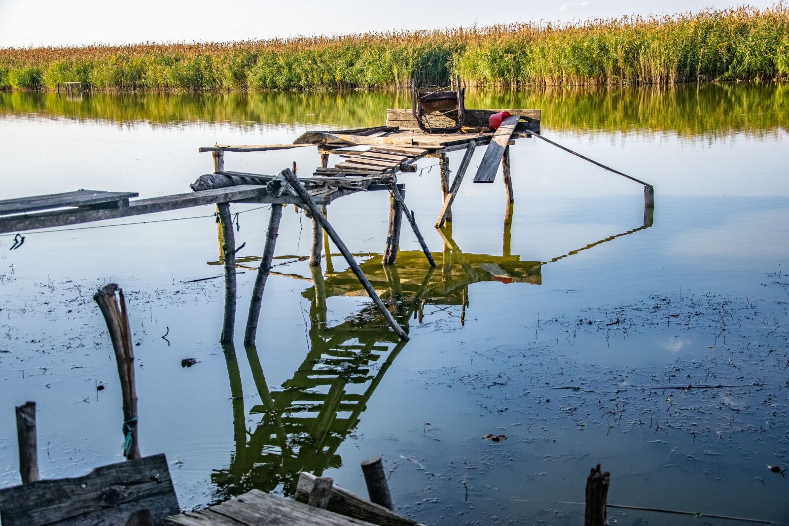 Nikon D3300 sample photo. Water, reed, river photography