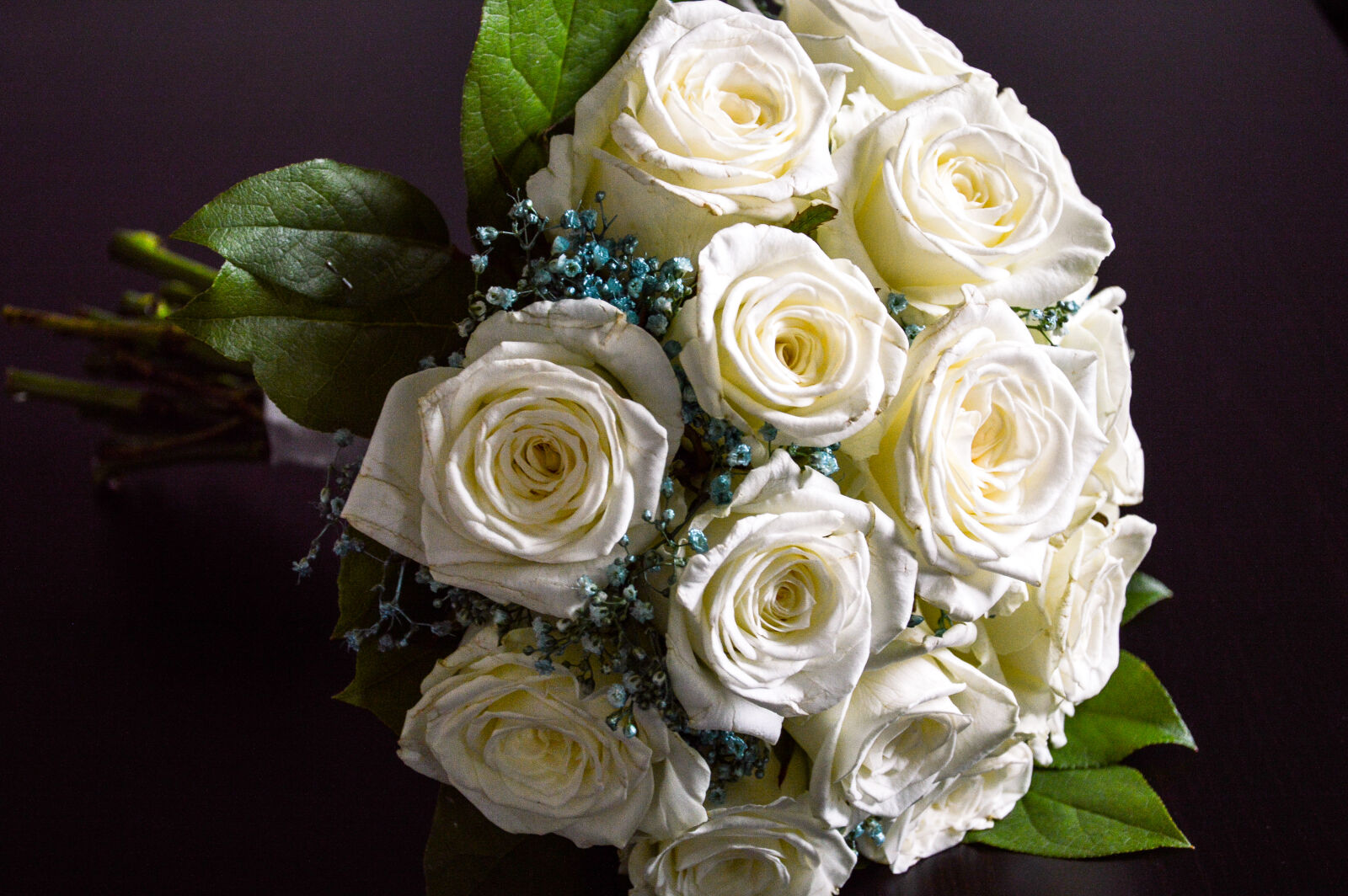 Nikon D3200 sample photo