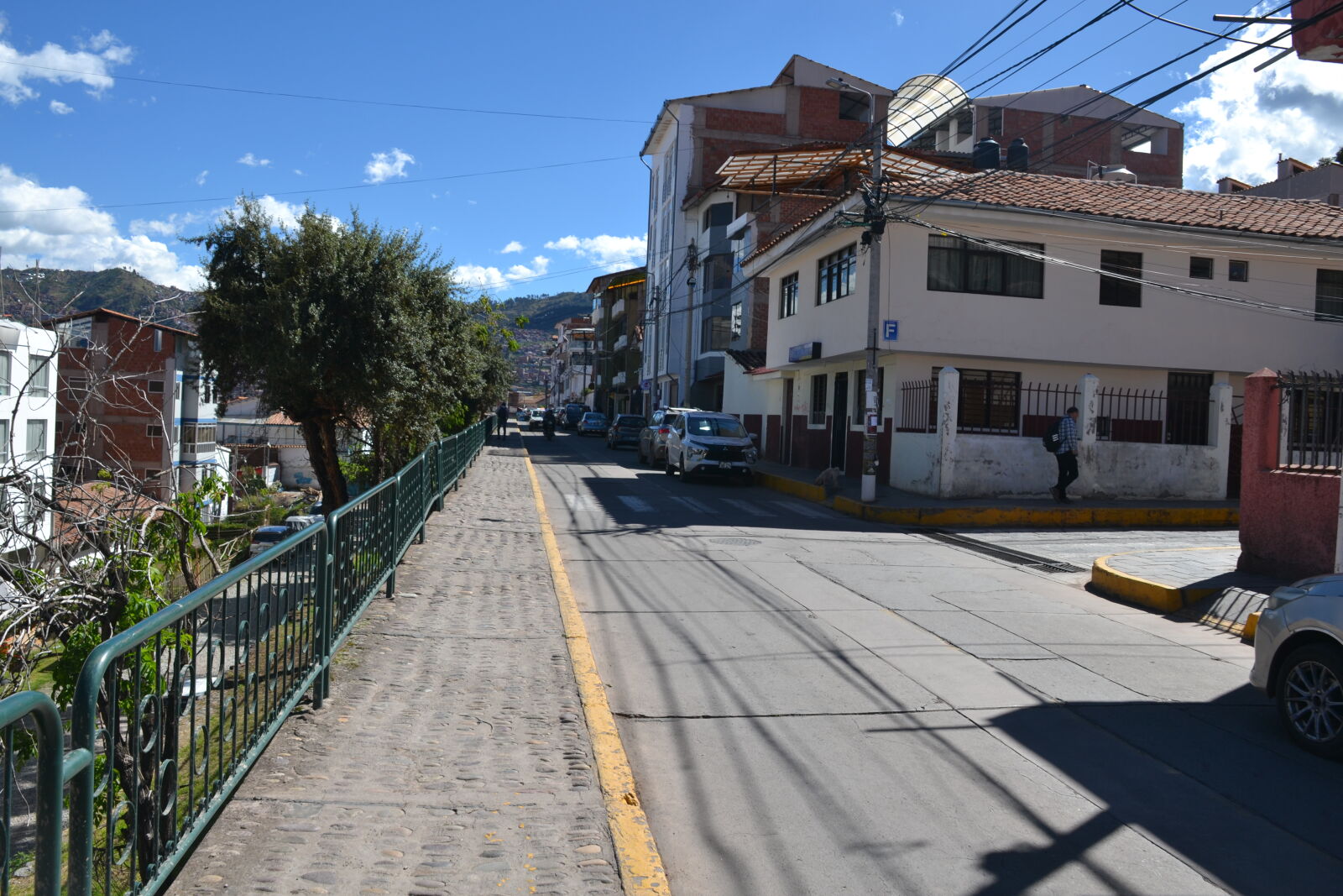 Nikon D3100 sample photo