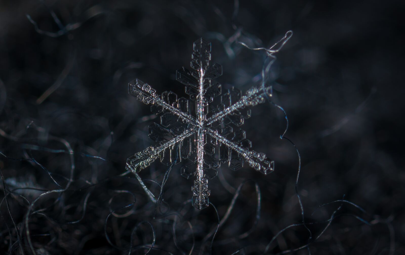 #124 65/2.8 sample photo. Snowflake, macro, snow photography