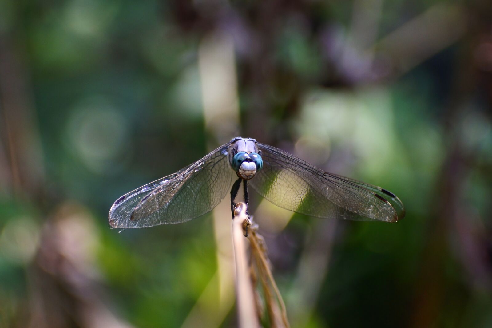 VR 70-300mm f/4.5-6.3G sample photo. Natural, landscape, sunbeams photography