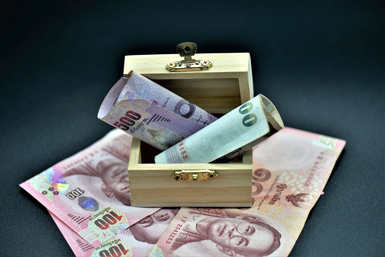 Nikon D610 sample photo. Money, bank note, chest photography
