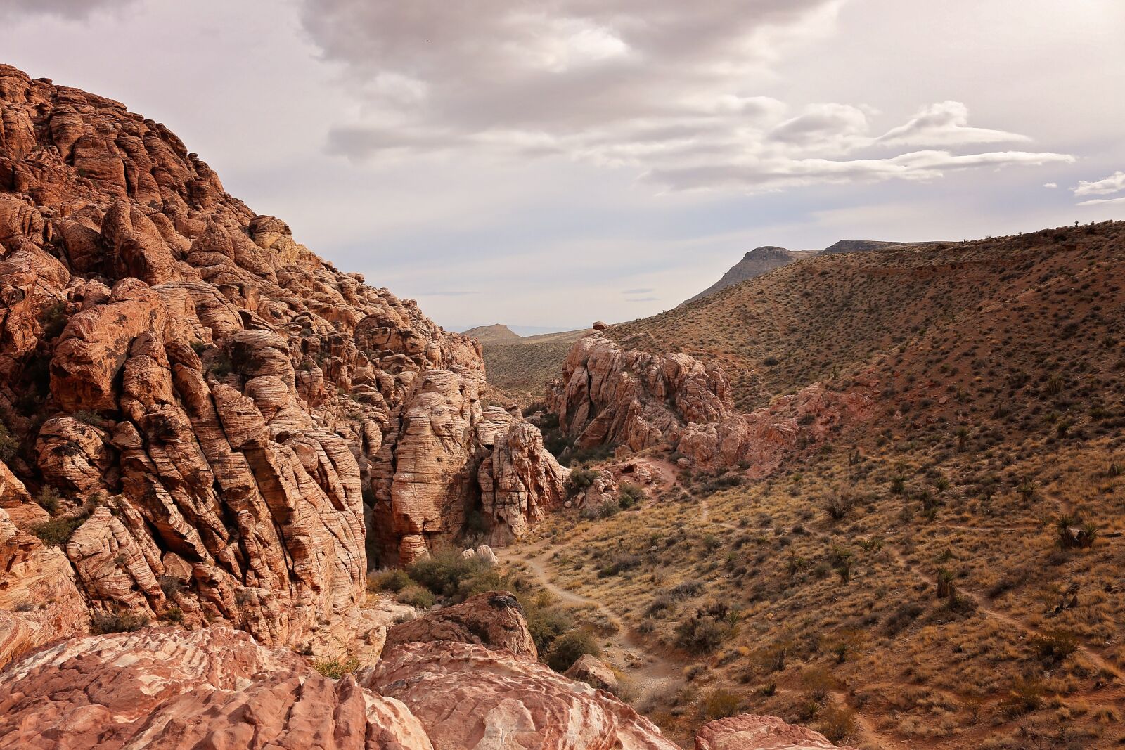 Canon EOS 70D sample photo. Red rock canyon, las photography
