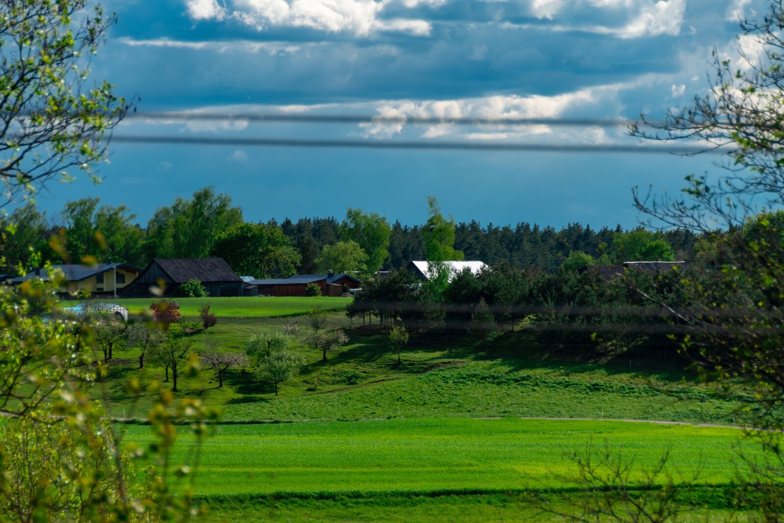 Nikon D5600 sample photo. Village, trees, sky photography