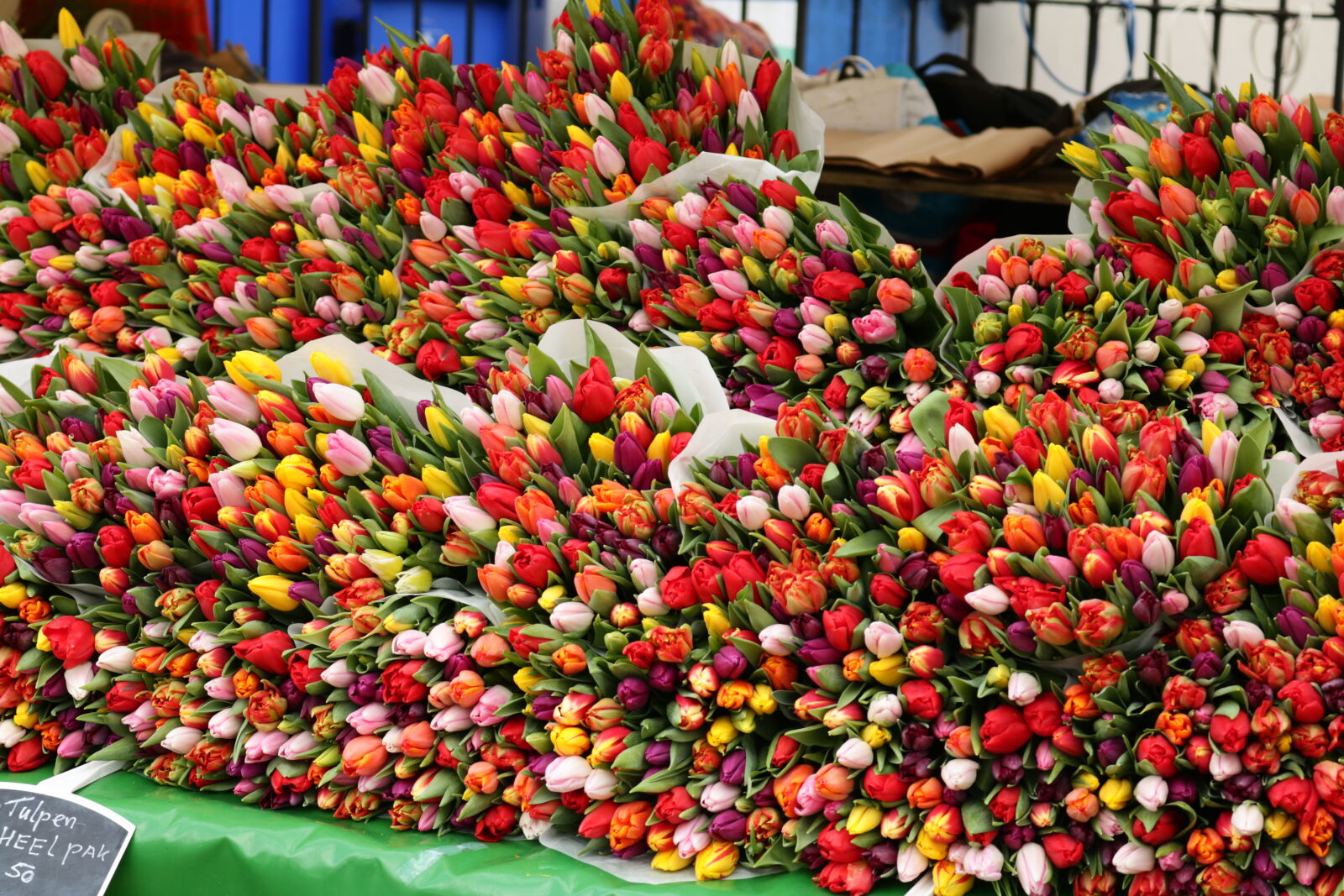 Canon EOS 750D (EOS Rebel T6i / EOS Kiss X8i) sample photo. Beautiful, flowers, tulips photography