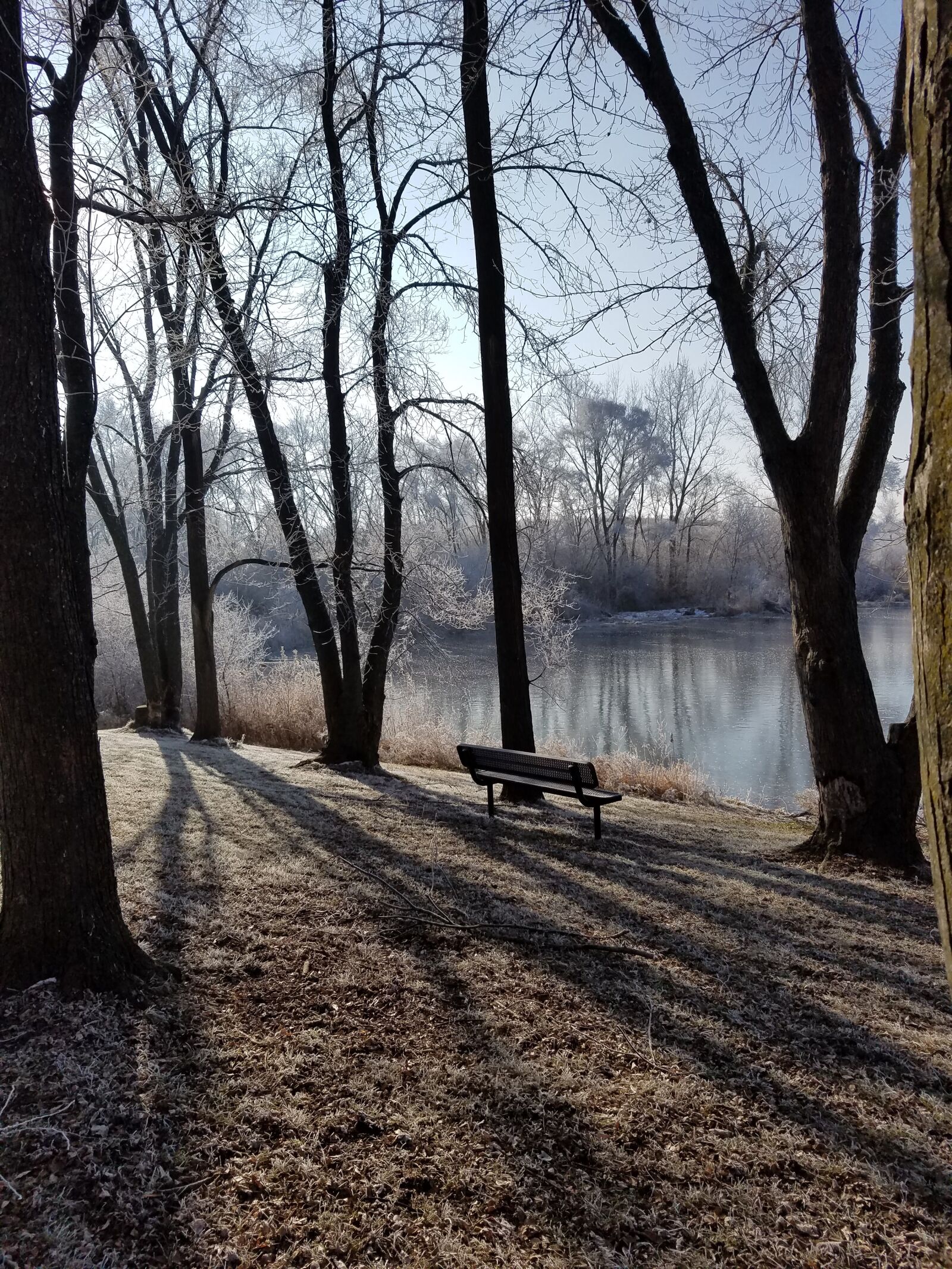 Samsung Galaxy S7 sample photo. Bench, winter, frost photography