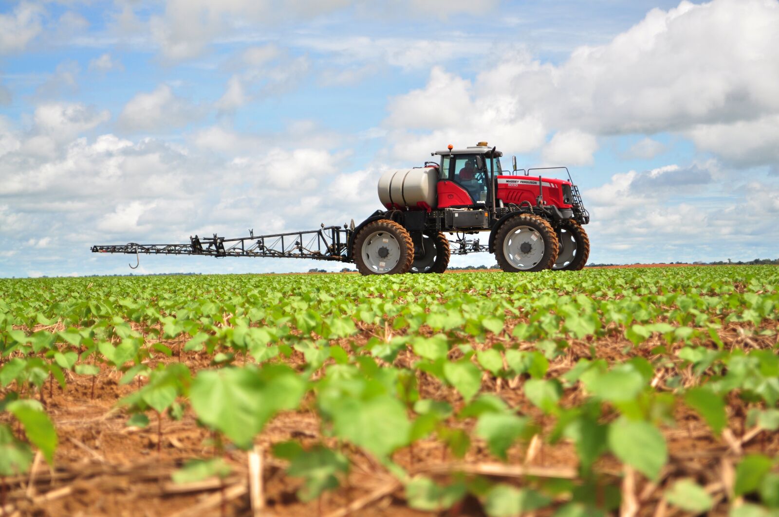 Nikon D5000 sample photo. Agriculture, field, farm photography