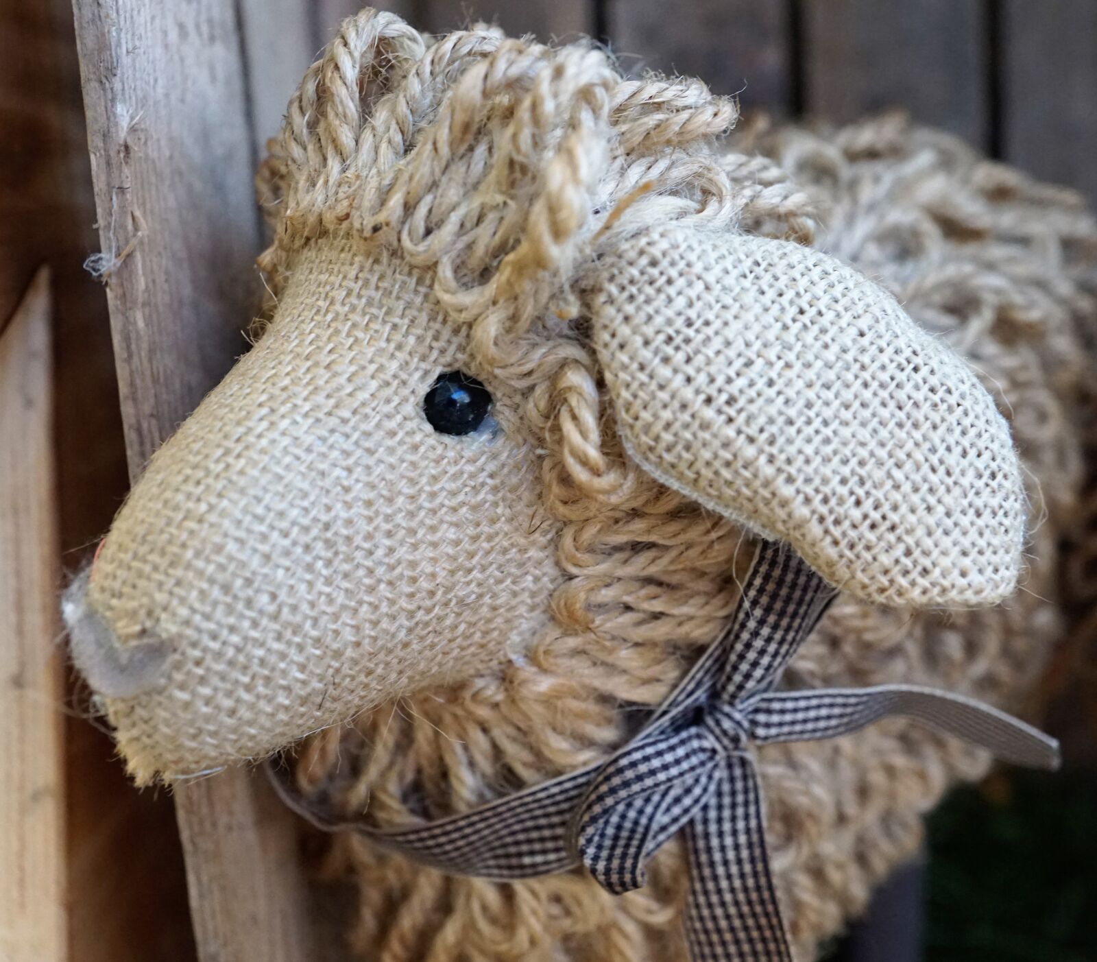 Sony ILCA-77M2 + Sony DT 16-50mm F2.8 SSM sample photo. Sheep, animal, decoration photography