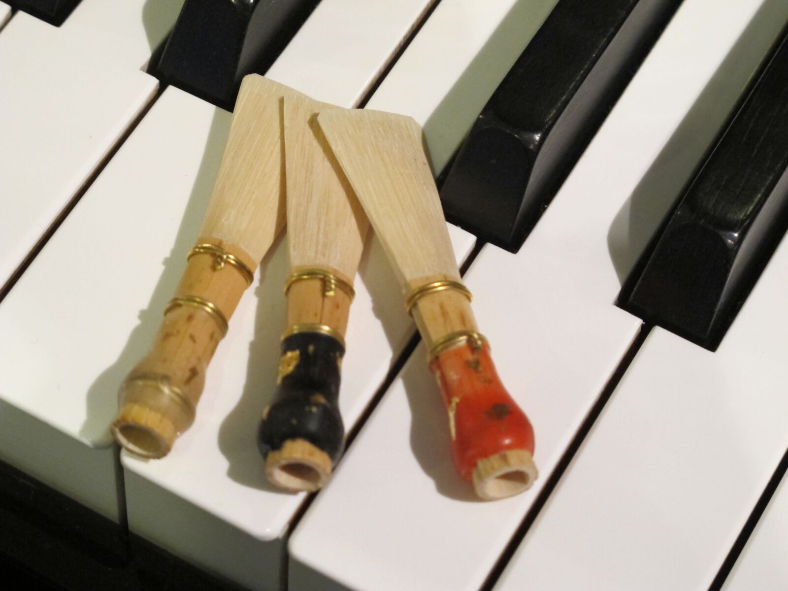 Canon PowerShot G12 sample photo. Music, bassoon, piano photography