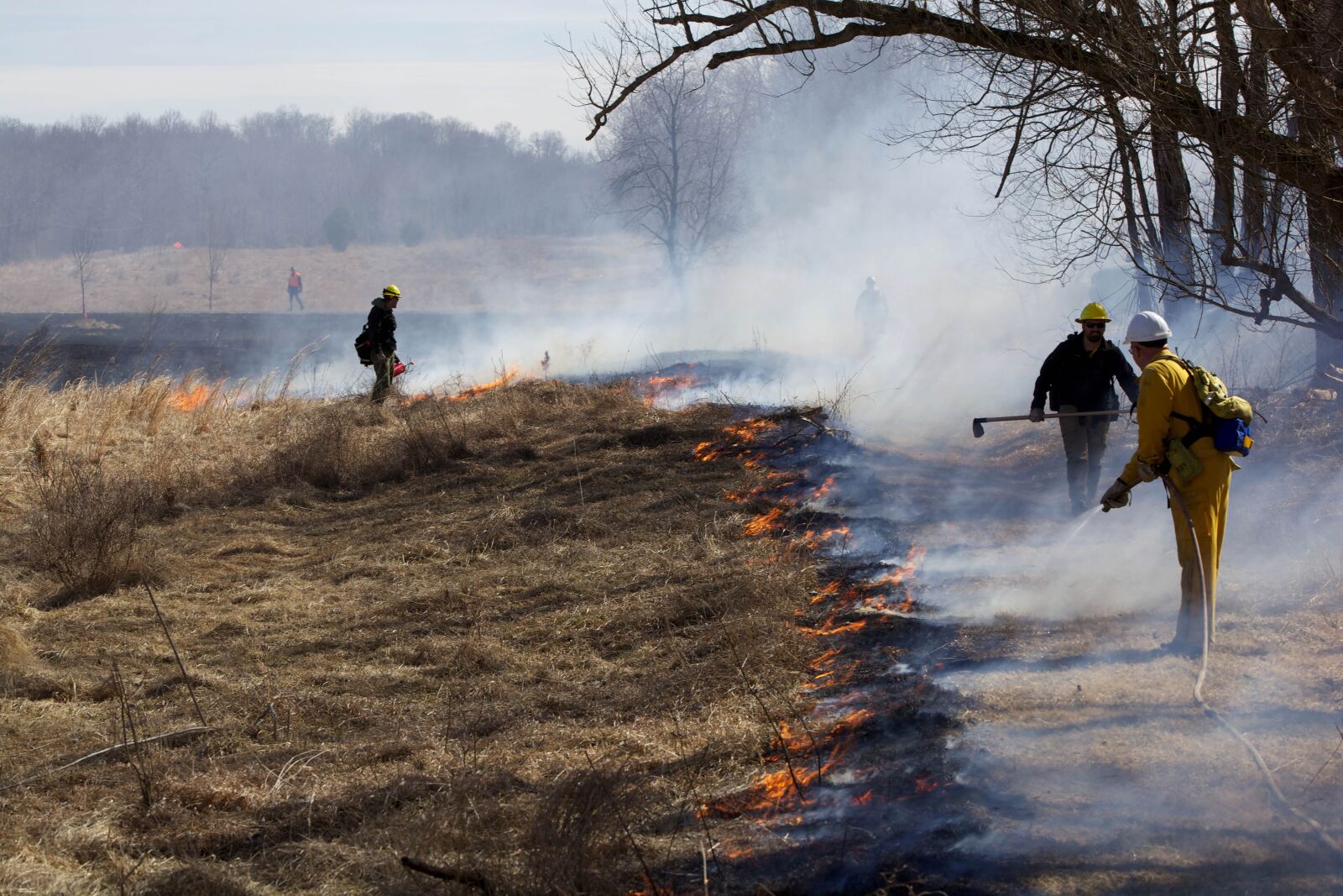 Canon EOS 5D Mark II sample photo. Summer, fire, nature, wild photography