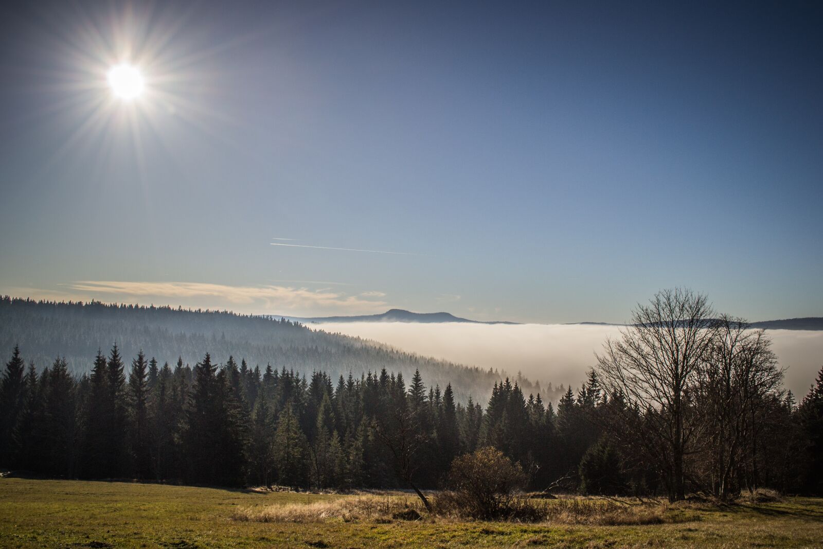 Nikon D3100 sample photo. Inversion, šumava, landscape photography