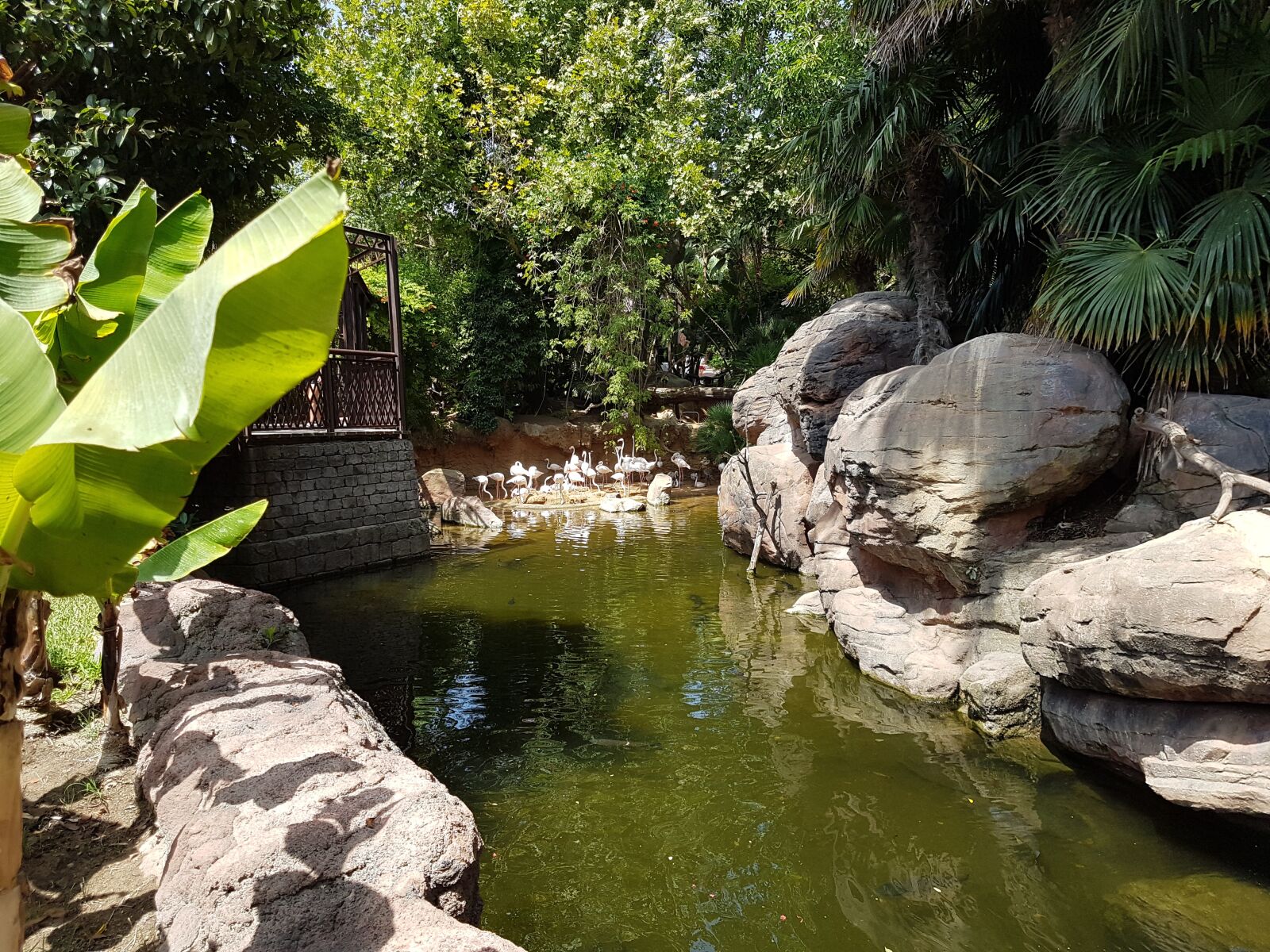 Samsung Galaxy S7 sample photo. Zoo, nature, summer photography