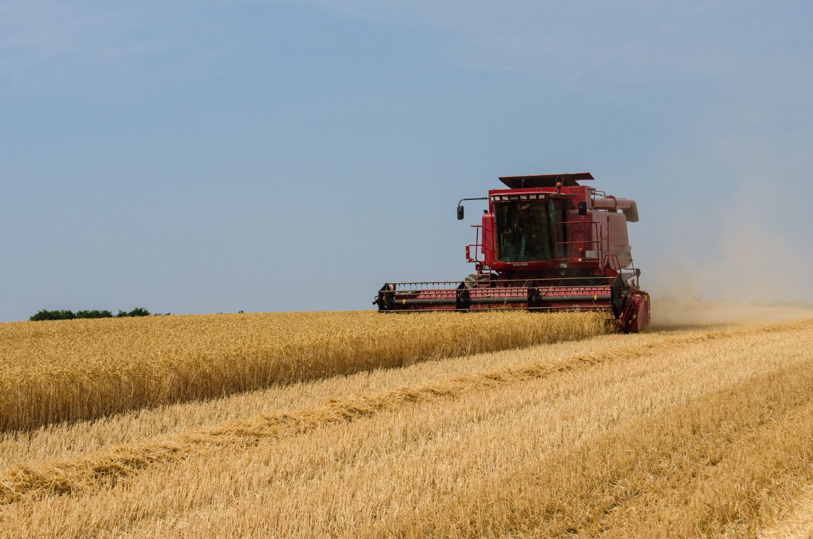 Nikon D7000 sample photo. Harvest, crops, agriculture photography