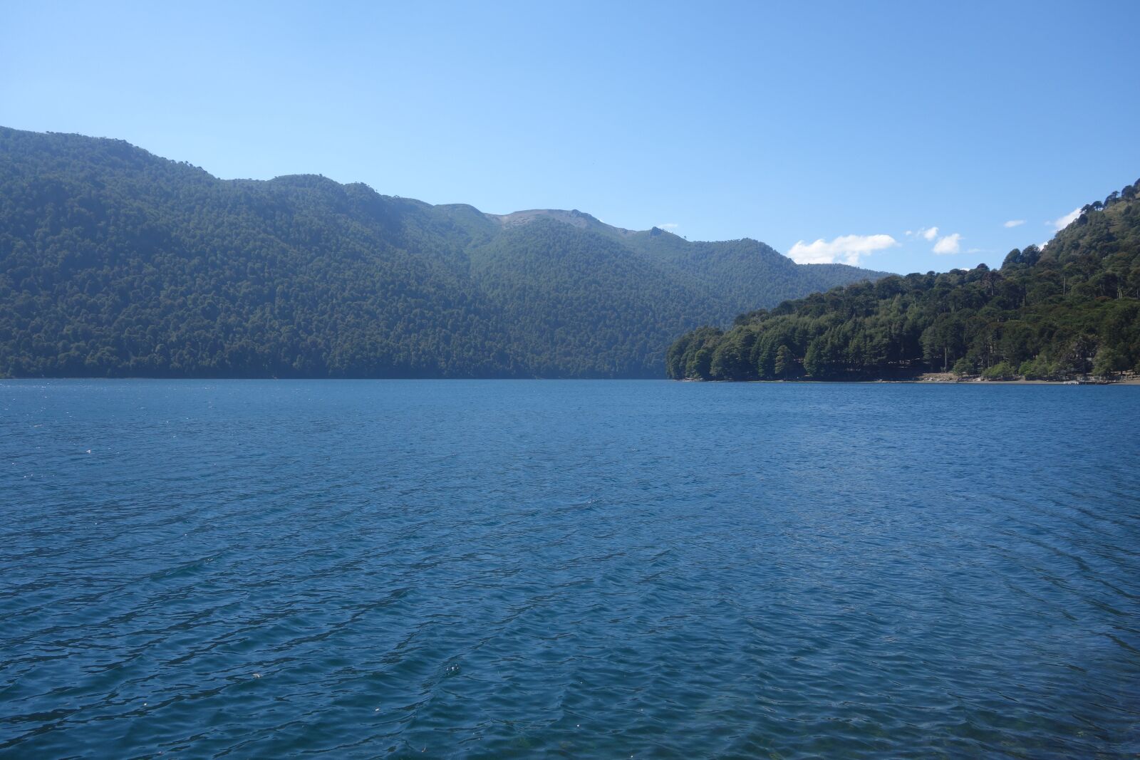 Sony Cyber-shot DSC-RX100 sample photo. Chile, south, icalma photography