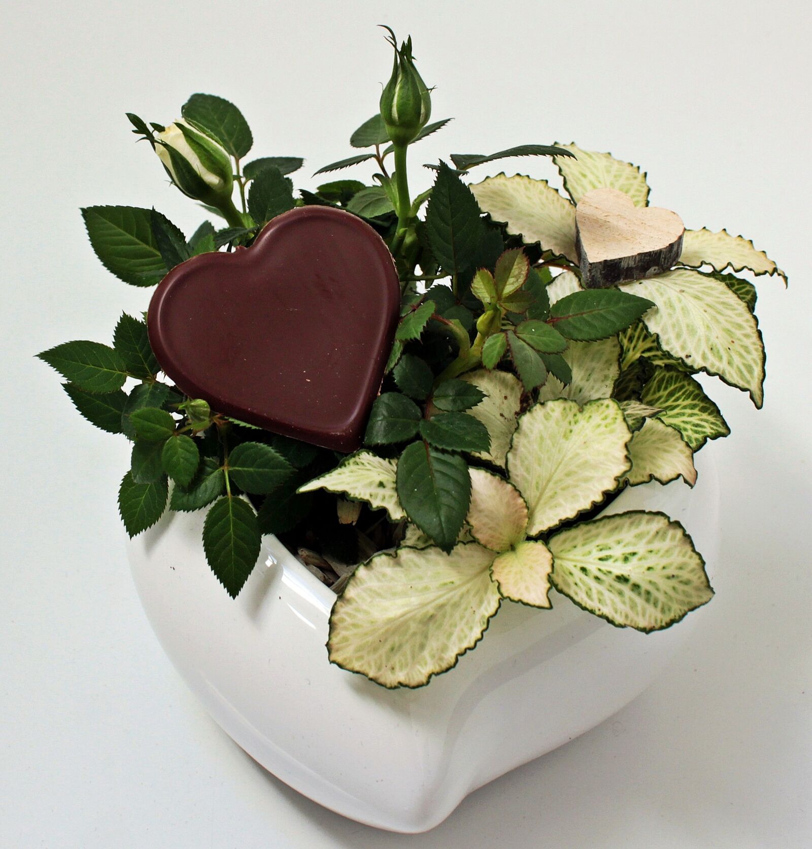 Canon EOS 550D (EOS Rebel T2i / EOS Kiss X4) sample photo. Mother's day, heart, gratitude photography