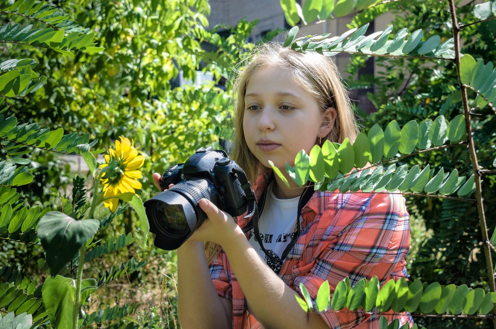 Nikon D7000 sample photo. Lifestyles, camera, hobbies photography