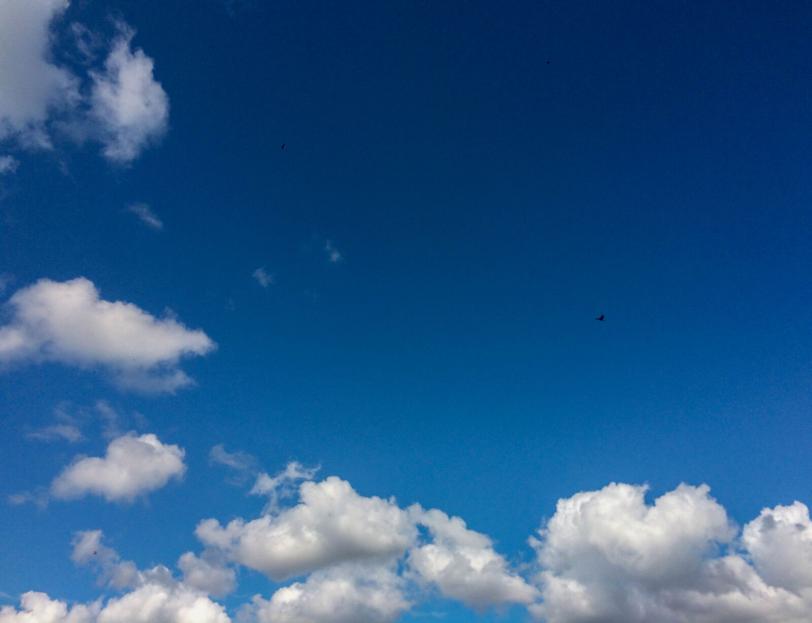 Apple iPhone 5s sample photo. Blue, blue, sky, clouds photography
