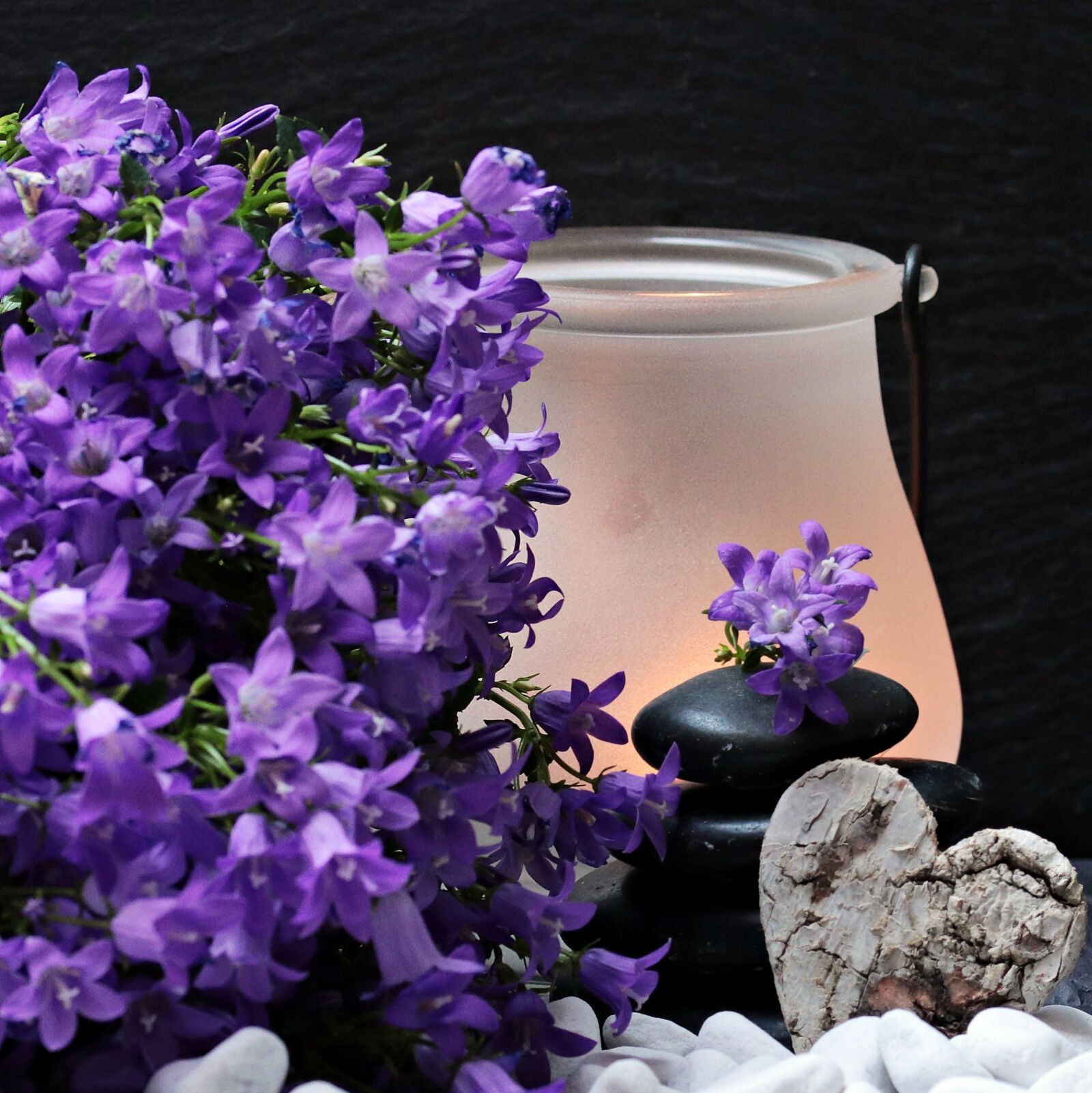Canon EOS 80D sample photo. Flowers, flower purple, stones photography