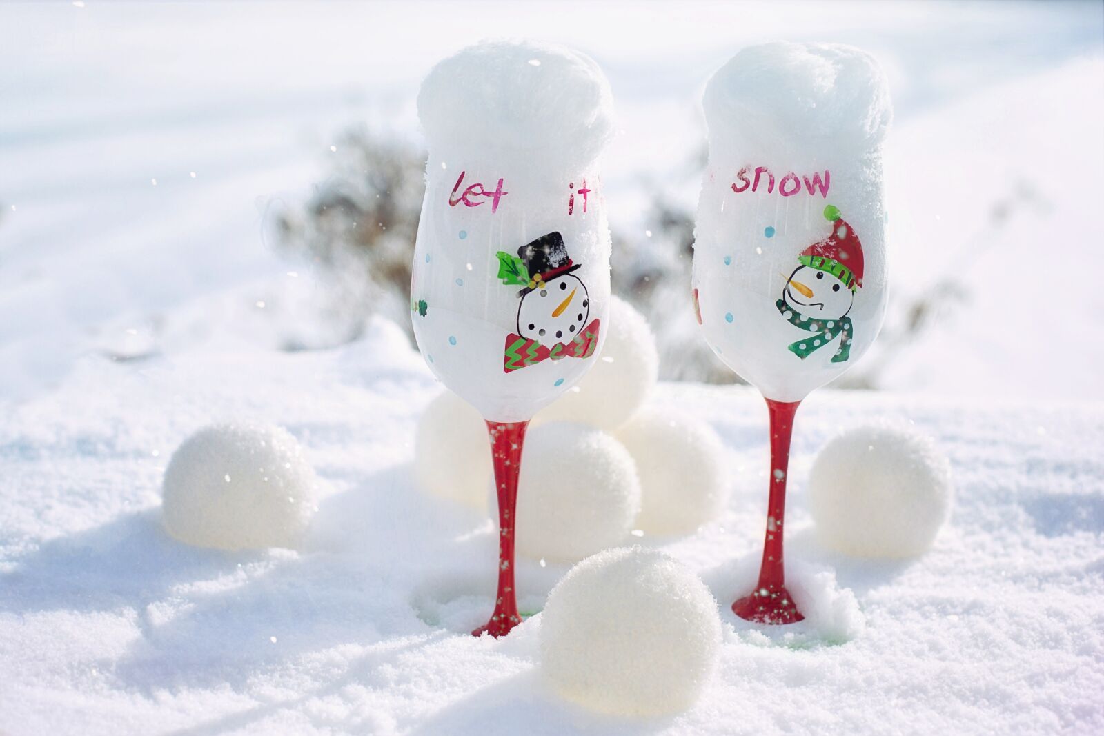 Canon EF 50mm F1.4 USM sample photo. Winter, snow, goblets photography