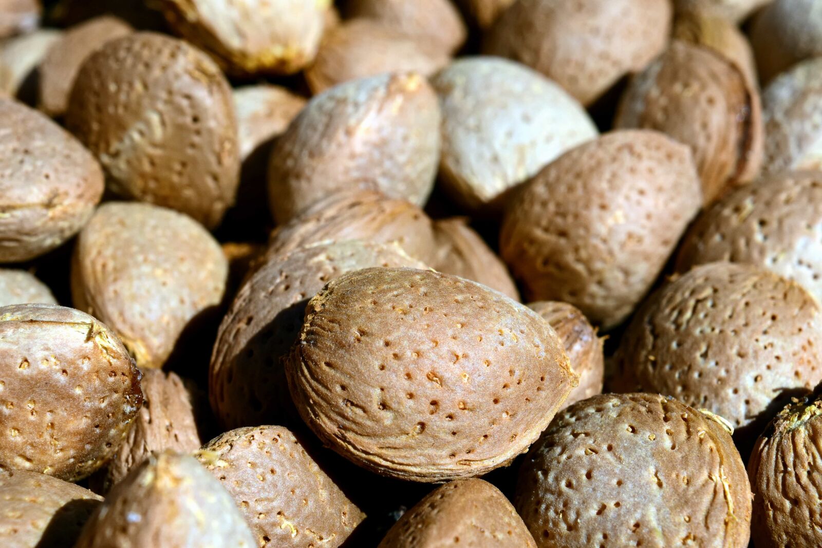 Nikon D3300 sample photo. Food, nutrition, organic, macro photography