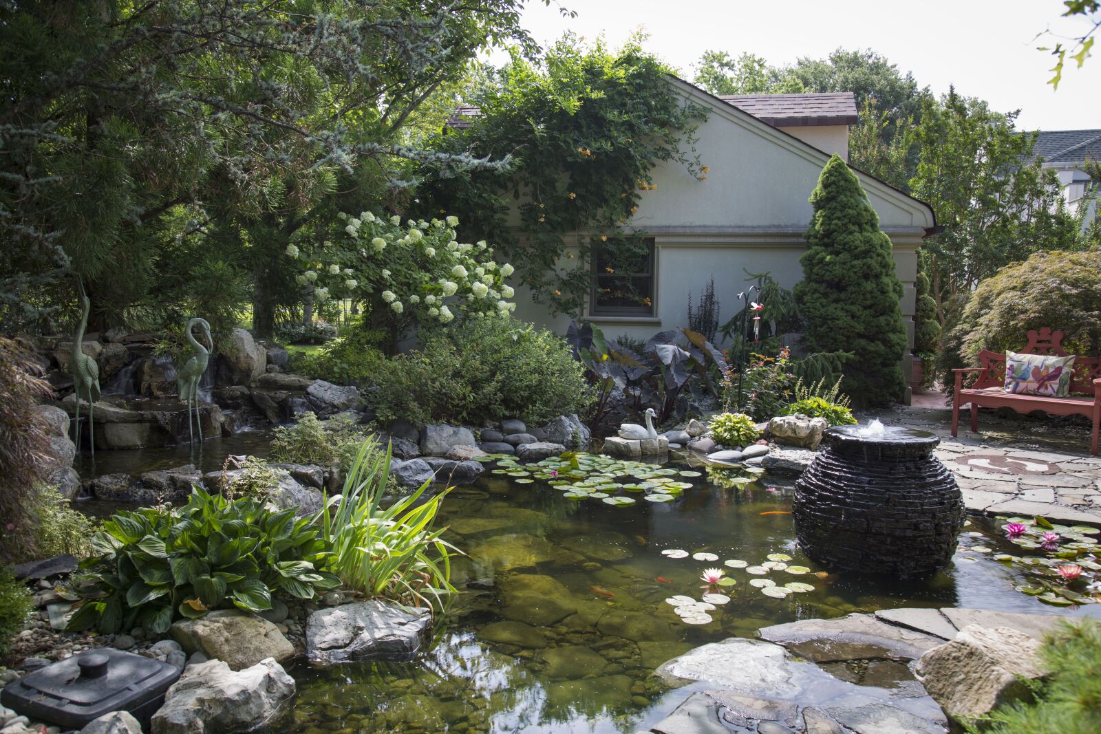Canon EF 24-105mm F4L IS USM sample photo. Koi pond, ponds, water photography