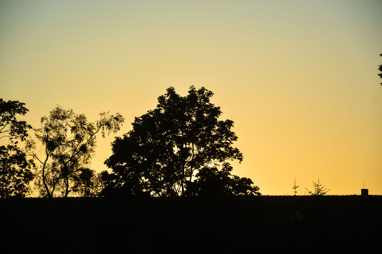 Nikon D3200 sample photo. Sunset photography