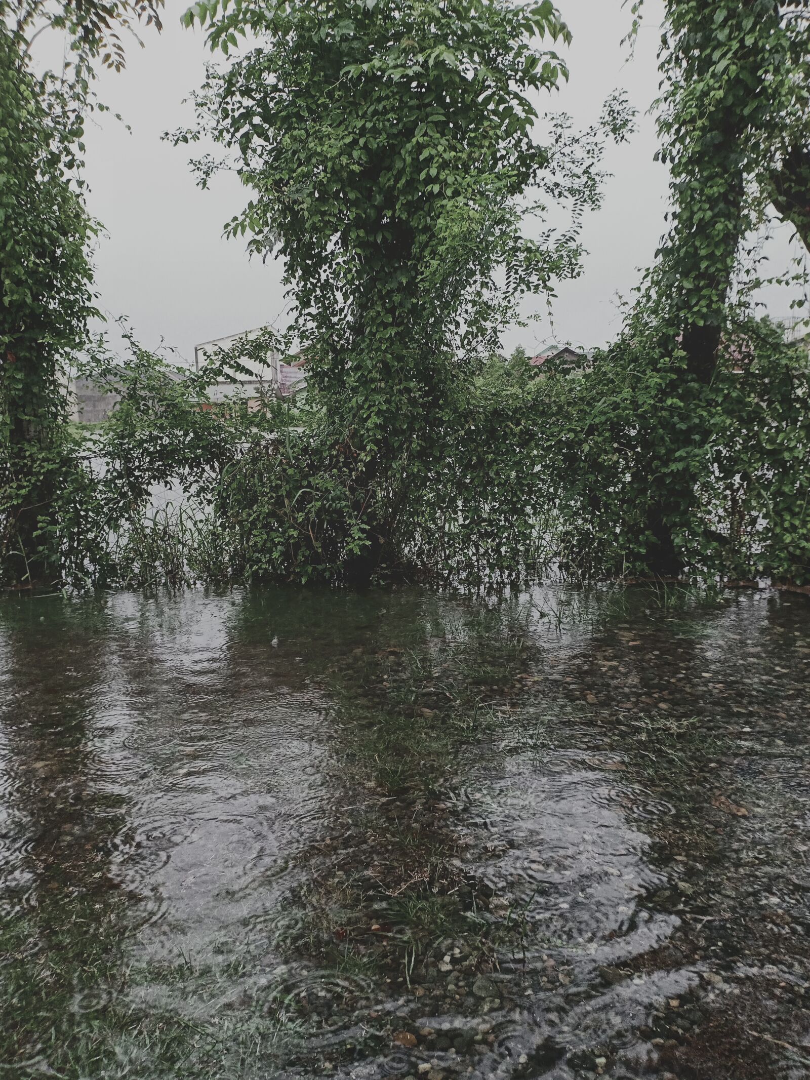 OPPO F7 sample photo. Rain, flood, water photography