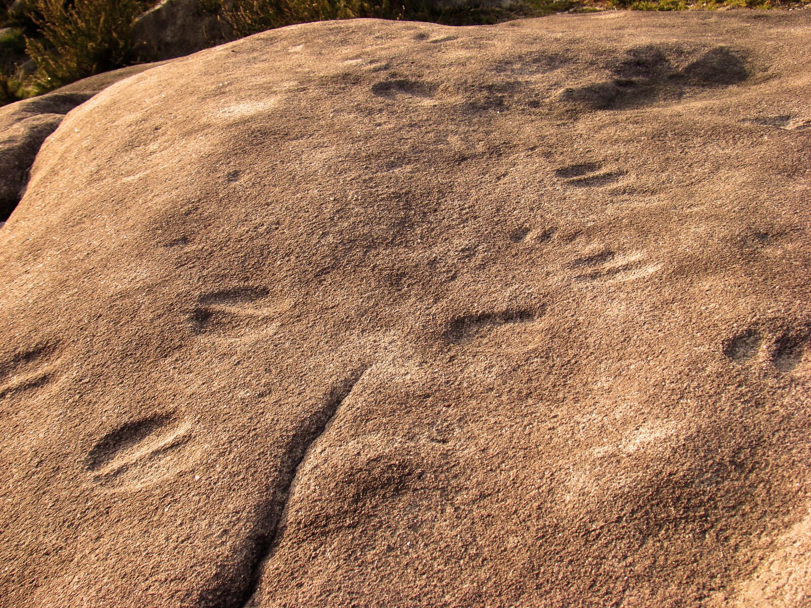 Sony DSC-H9 sample photo. Petroglyph, the bronze age photography