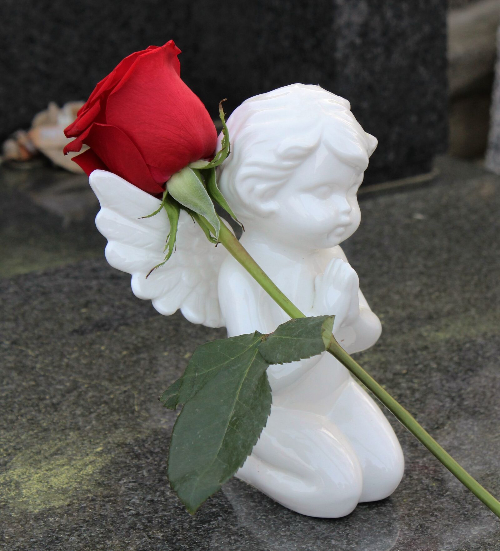 Canon EOS 600D (Rebel EOS T3i / EOS Kiss X5) sample photo. Stop children suicide, angel photography