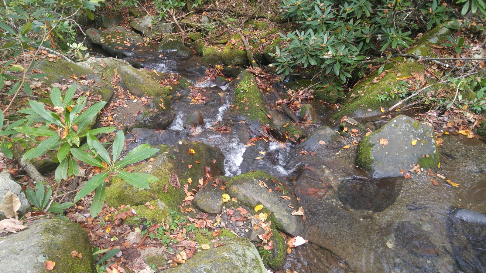 LG G4 sample photo. Mountain, stream, nature, photography photography