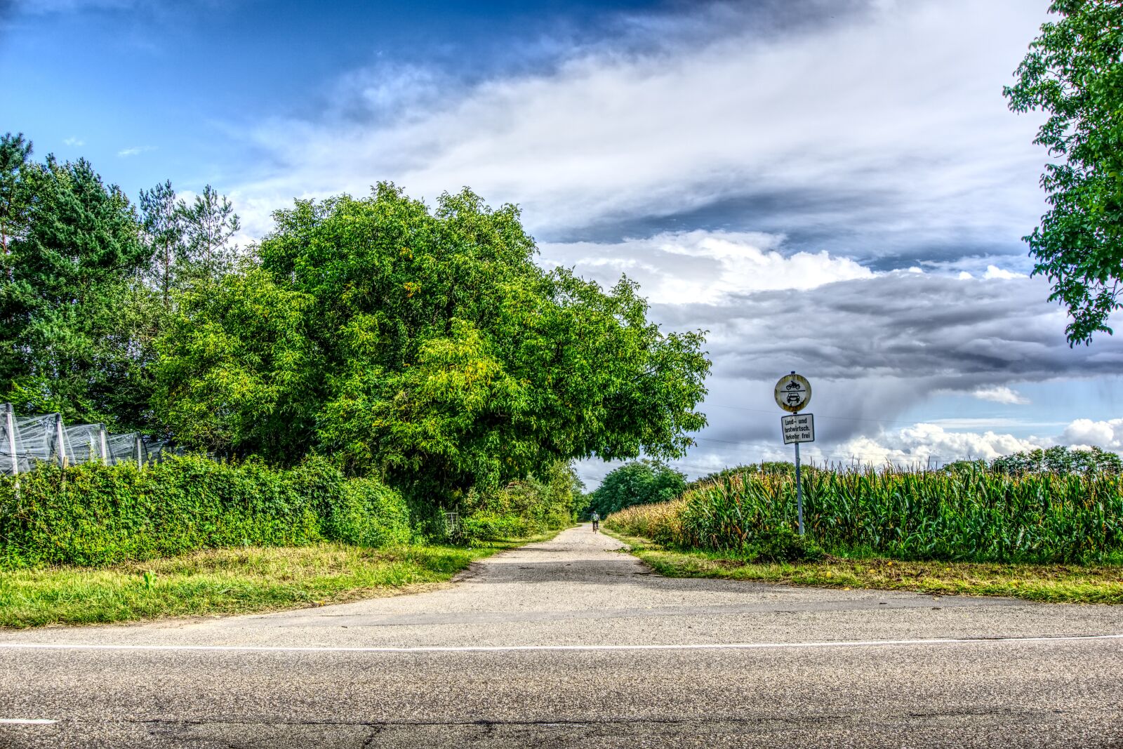 Sony a6000 sample photo. Road, asphalt, landscape photography