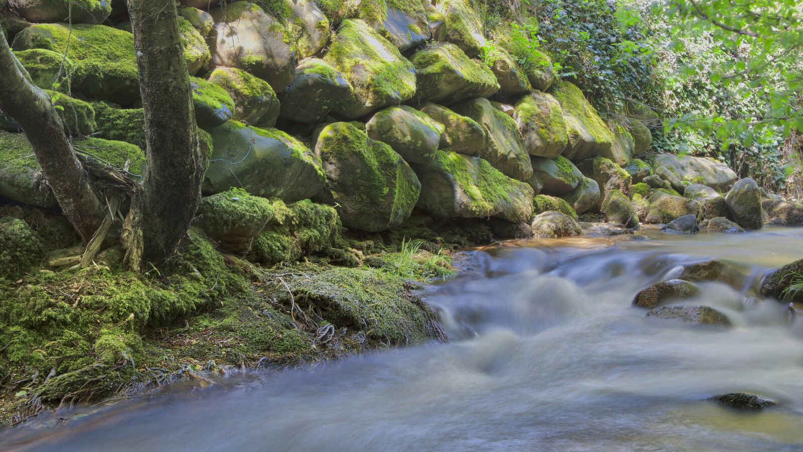 Nikon D5300 sample photo. Waters, nature, river photography