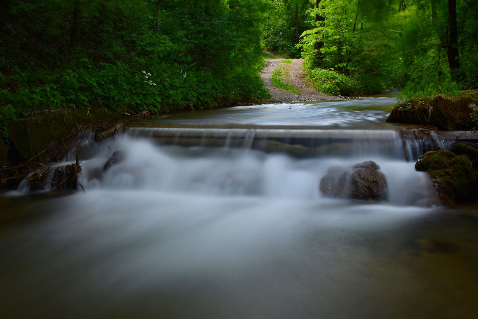 Nikon D3400 sample photo. Long exposure, bach, forest photography