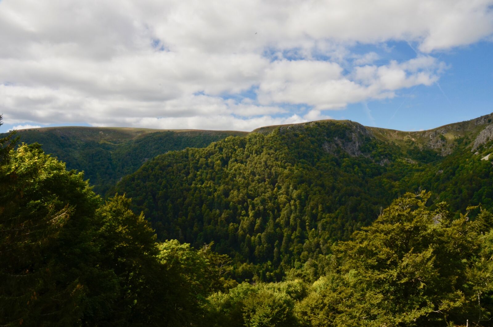 Nikon D5100 sample photo. Vosges, mountains, landscape photography