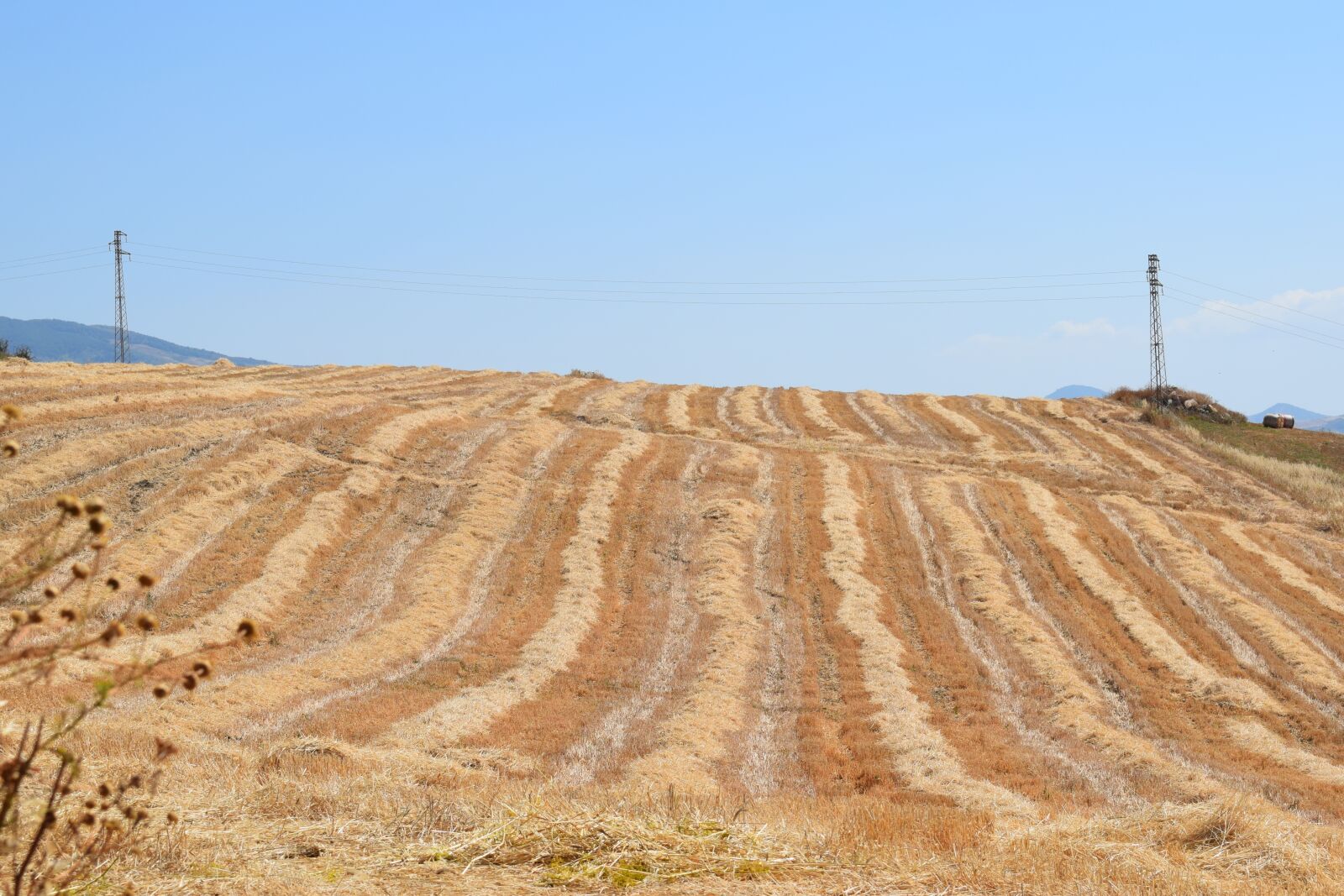 Nikon D3300 sample photo. Nature, landscape, soil photography