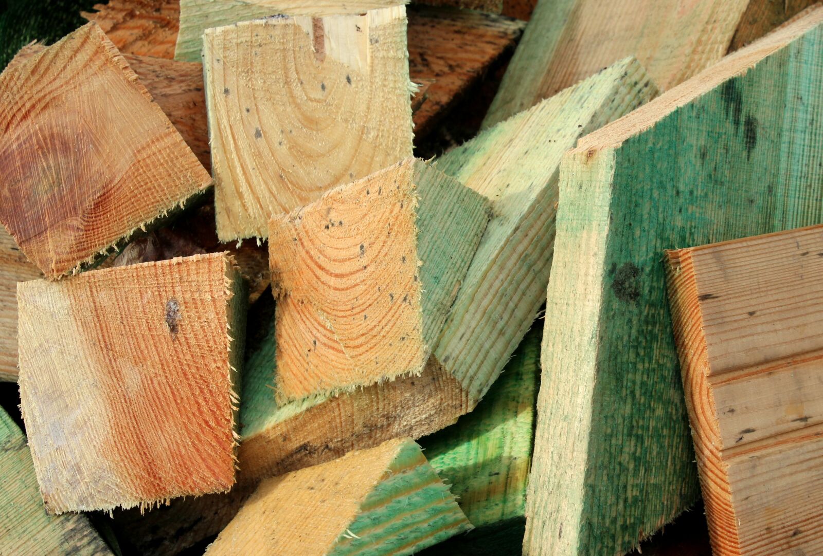 Canon EOS 1200D (EOS Rebel T5 / EOS Kiss X70 / EOS Hi) sample photo. Wood, cut the, building photography