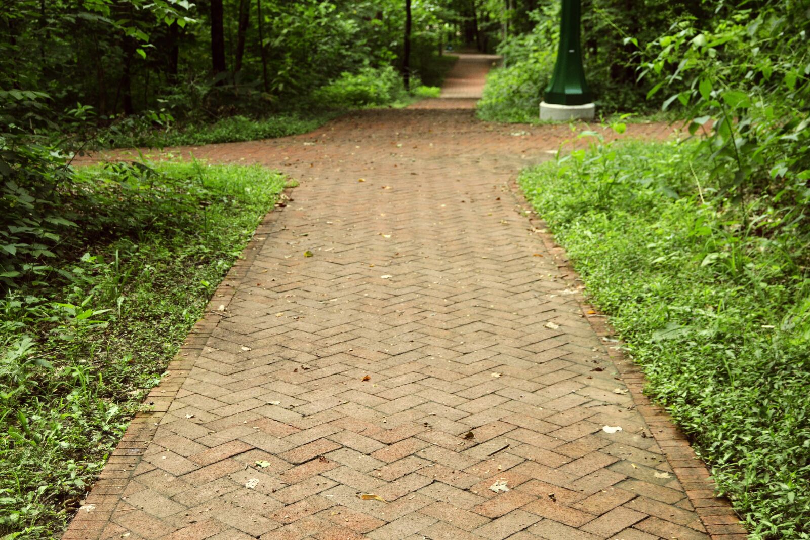 Nikon D3200 sample photo. University, college, campus photography