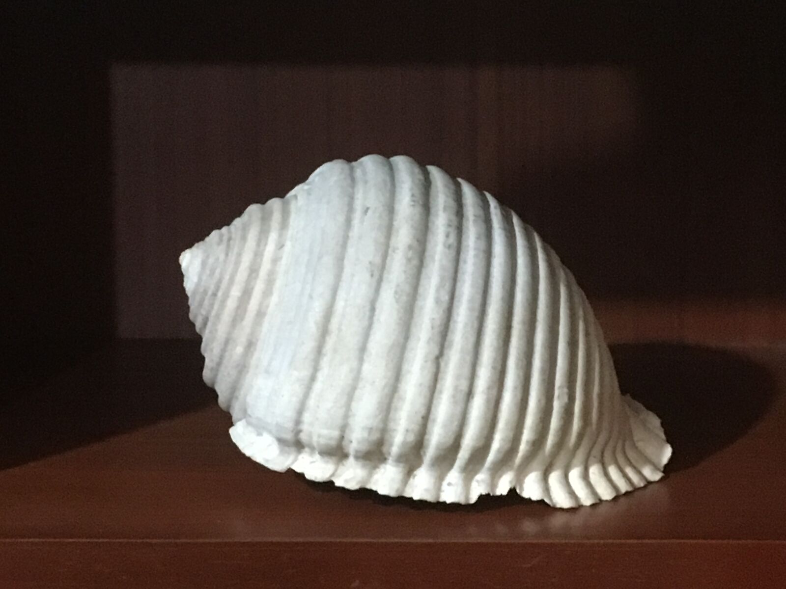 iPhone SE back camera 4.15mm f/2.2 sample photo. Shelf, trim, decoration photography