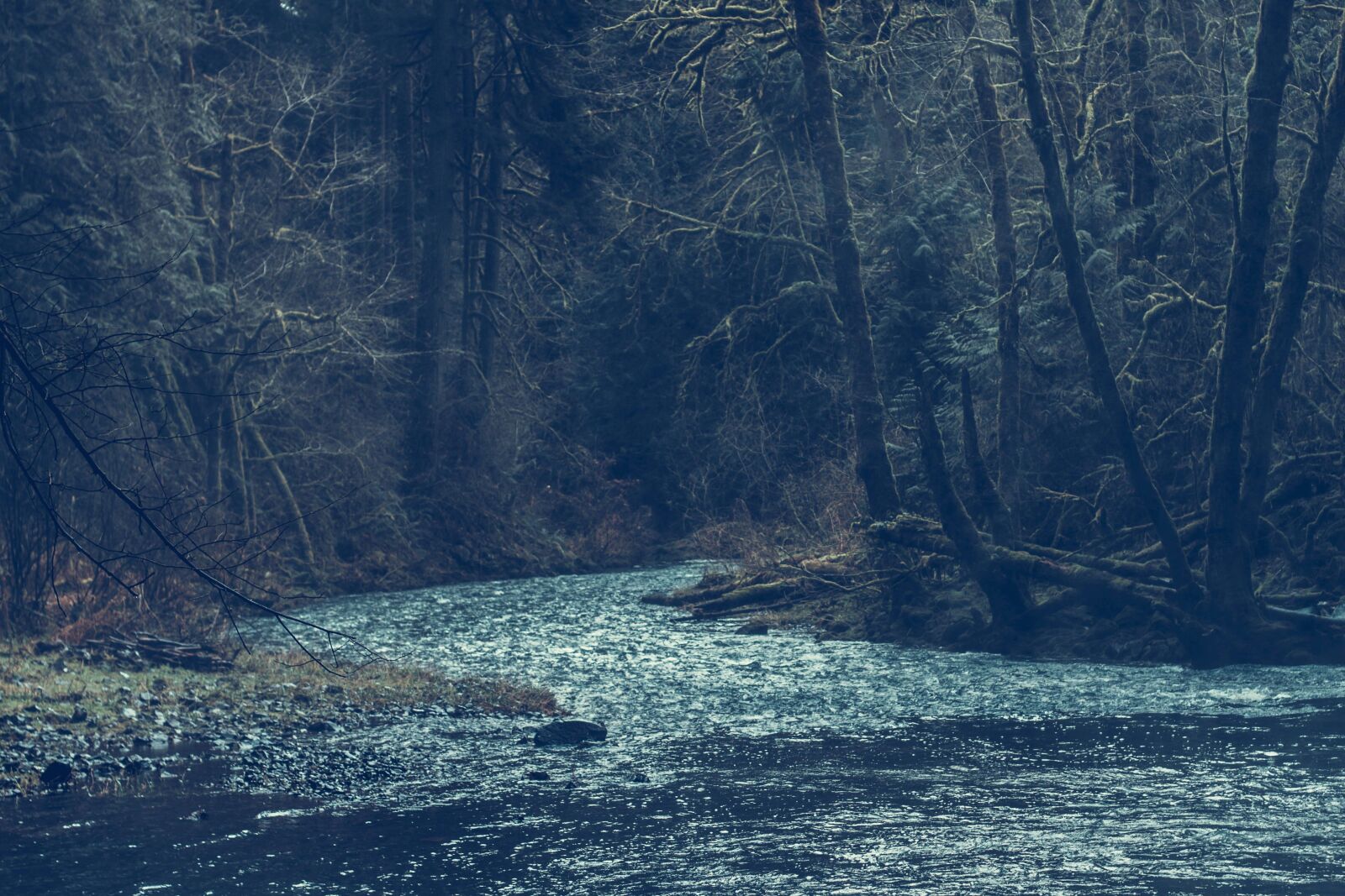 Canon EOS 50D sample photo. River, water, landscape, tree photography