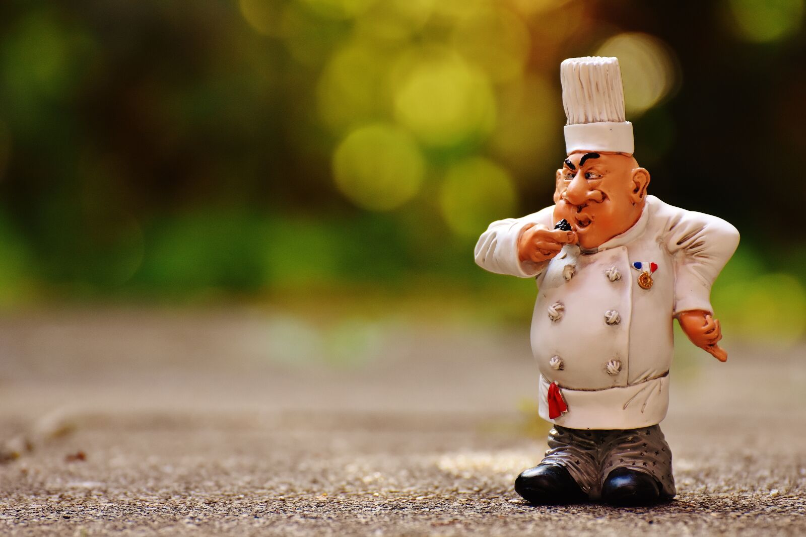 Nikon D7200 sample photo. Chefs, figures, funny photography