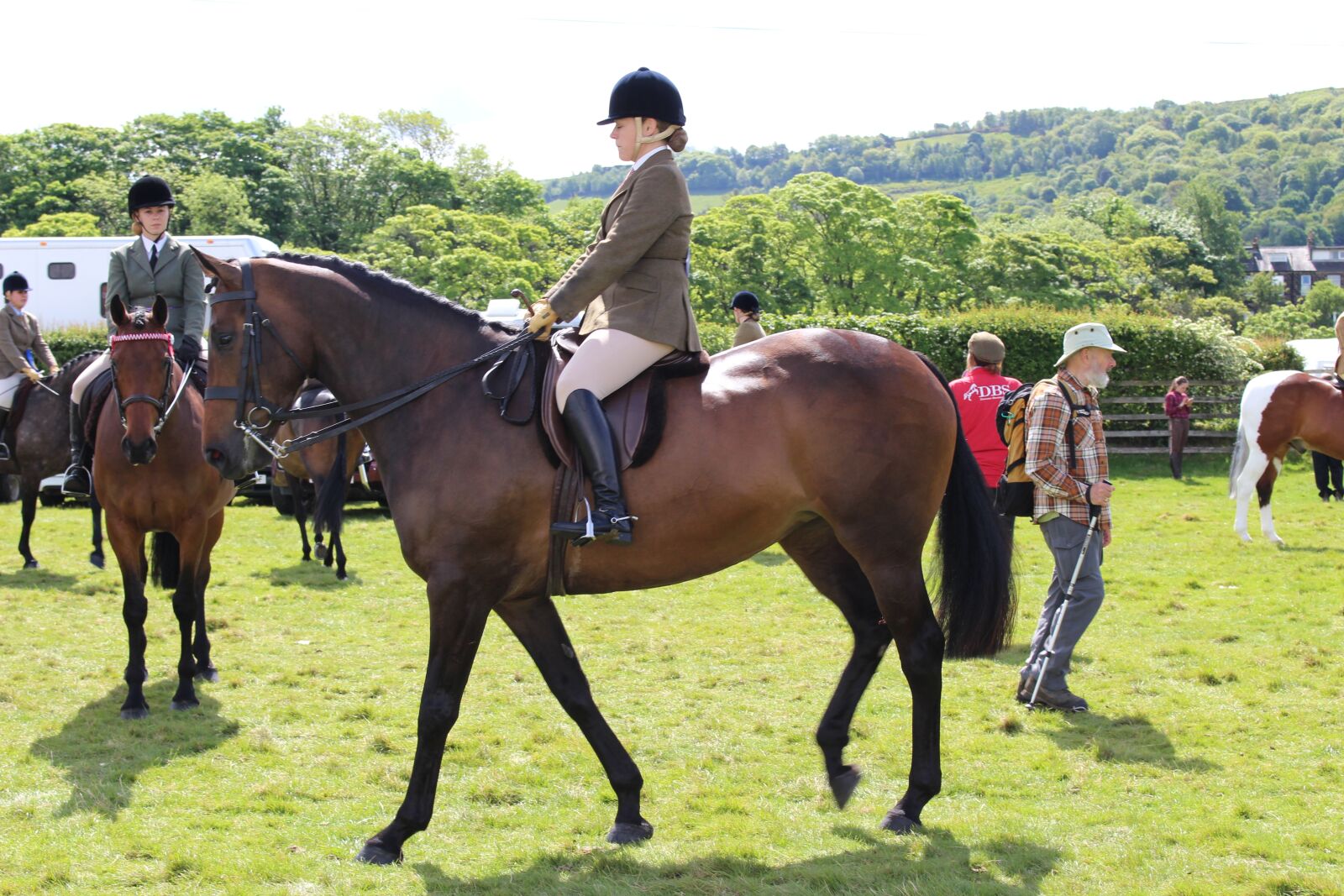 Canon EOS 100D (EOS Rebel SL1 / EOS Kiss X7) sample photo. Horse, otley, show photography