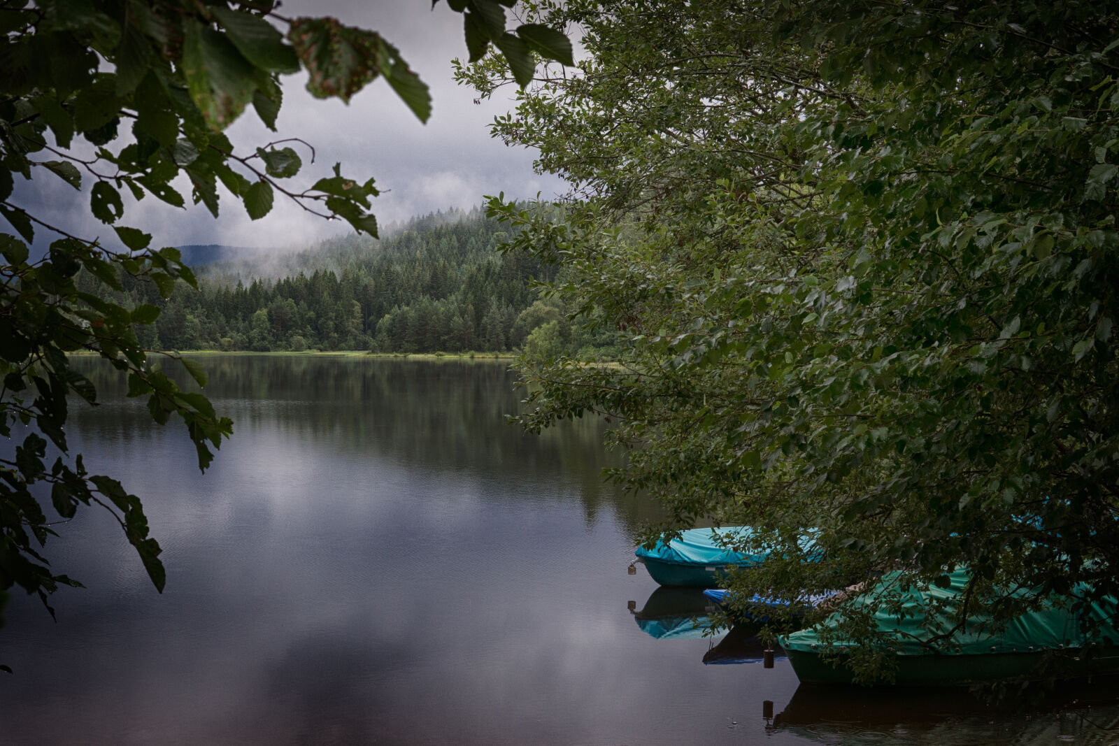 30mm F1.4 DC DN | Contemporary 016 sample photo. Boats, clouds, environment, foggy photography