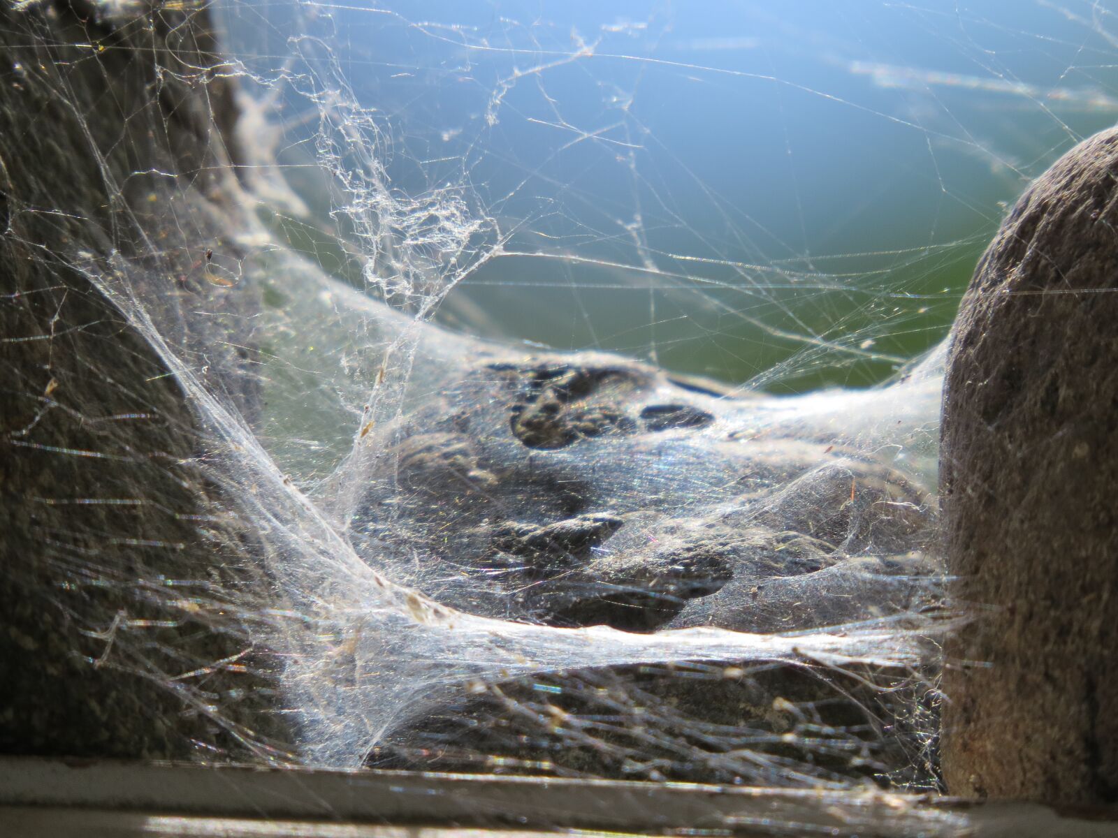 Canon PowerShot SX50 HS sample photo. Spider web, web, rocks photography