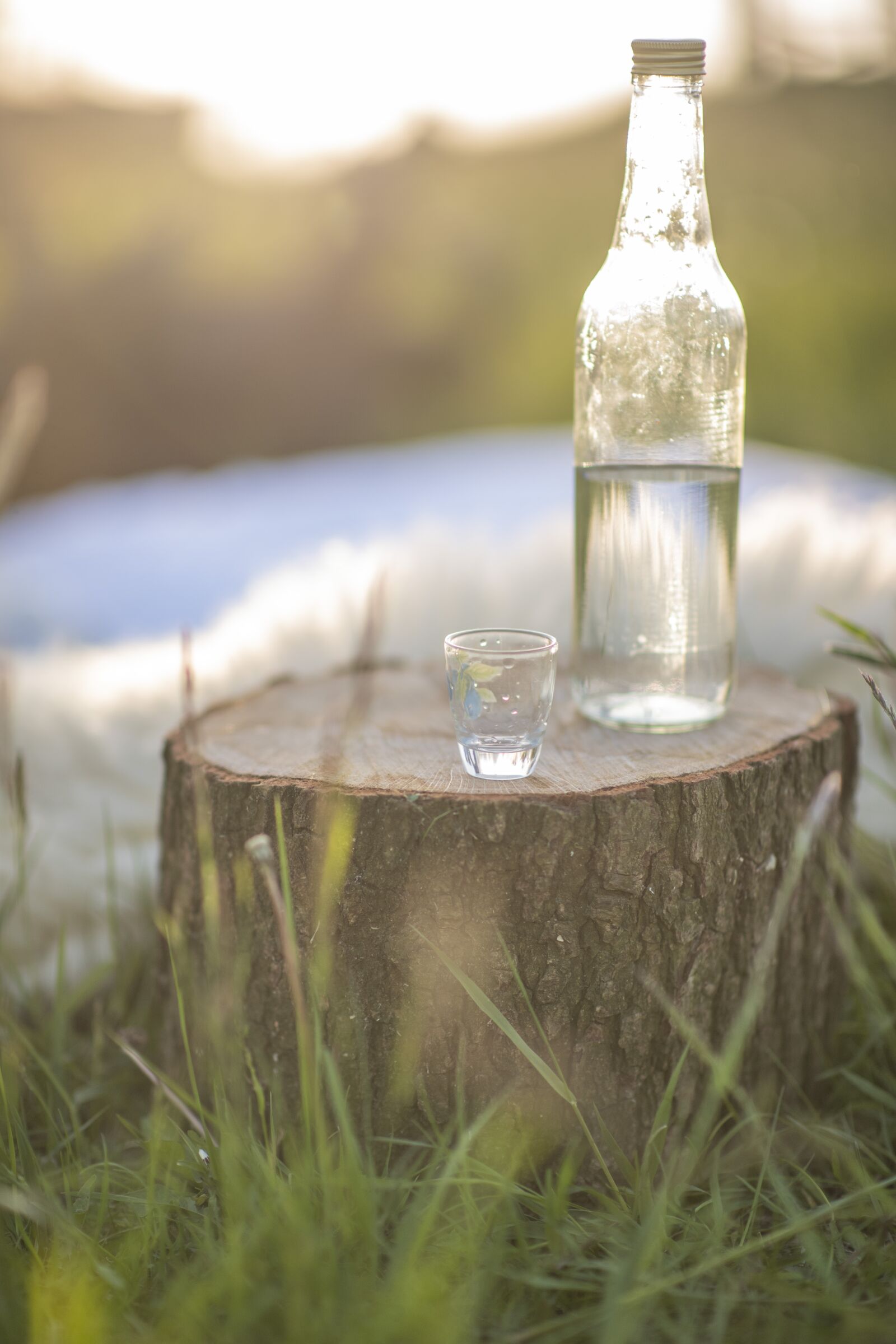 Nikon D750 sample photo. Bottle, stump, plum brandy photography