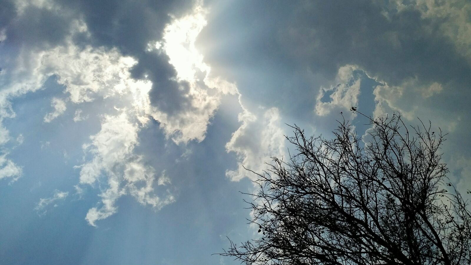 Xiaomi Redmi 3S sample photo. Tyndall, effect photography