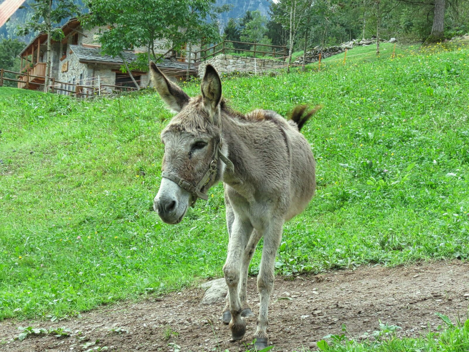 Canon PowerShot SX40 HS sample photo. House, mountain, environment photography