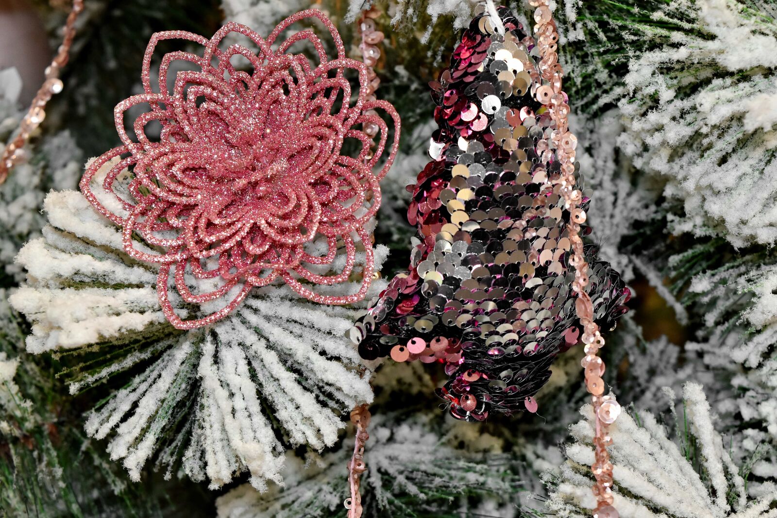 Nikon D5500 sample photo. Christianity, christmas, christmas tree photography